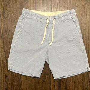 Striped Blue and White Shorts